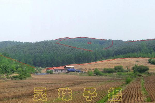 广东草坪风水秘籍：打造旺运家居的黄金布局