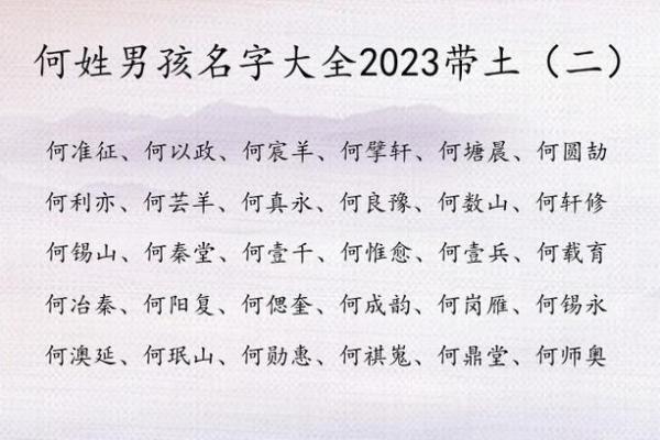 何氏名字大全：经典与时尚的完美融吿