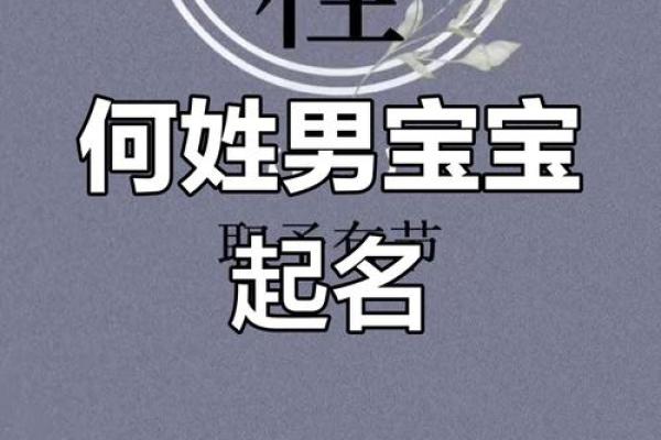 何氏名字大全：经典与时尚的完美融吿