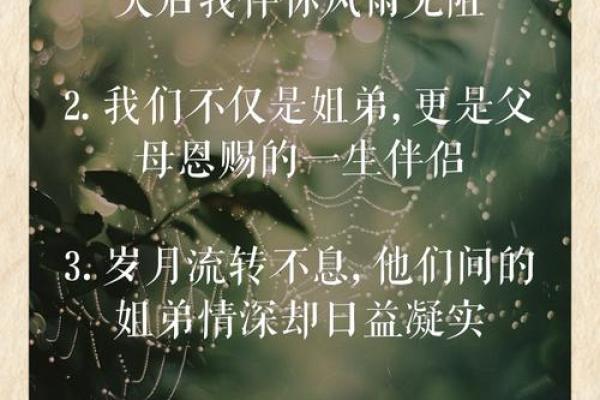 姐弟情深命理解密：揭秘你的命中亲情线