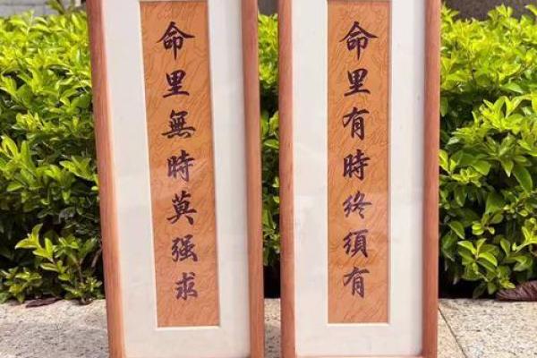 命里有时终须有，水患来袭如何化解？