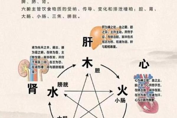 家居风水大揭秘：如何打造健康舒适的居住环境