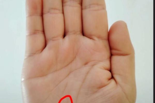 揭秘子女宫：手相中的育儿天赋