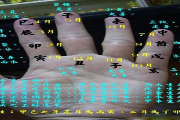 天地支手指算法在实际项目中的创新应用 天地支手指算法在实际项目中的创新应用