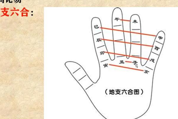 流年地支合在八字预测中的应用 流年地支合在八字预测中的应用