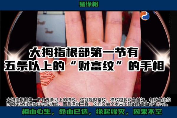 守财纹手相揭秘：揭秘你的财富运势