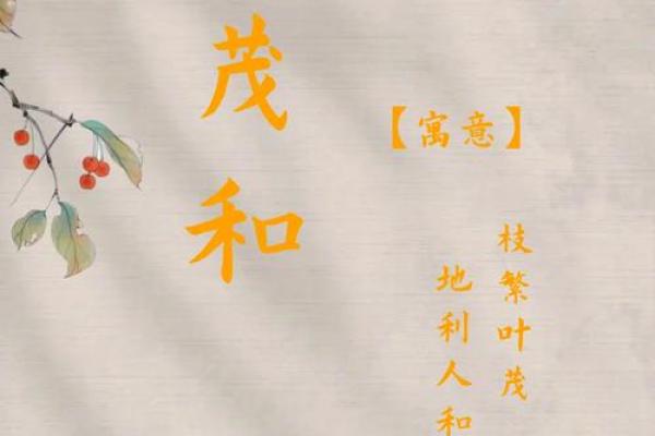 名字创意无限：公司比赛中的独特命名技巿