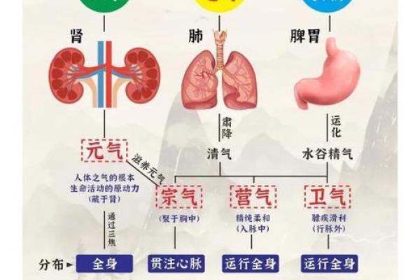 探寻气功与地支之间的深层关系 探寻气功与地支之间的深层关系