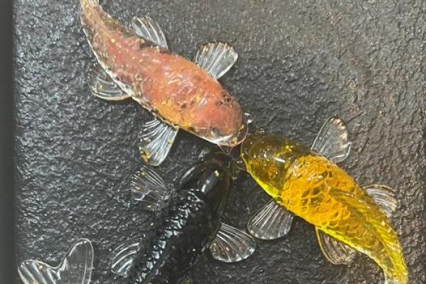 揭秘风水鱼招财秘诀，轻松赚钱不是梦！