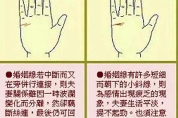 手相探秘：右手揭示你的财富、健康与事业运势