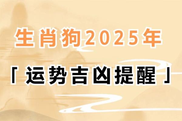 狗年运势大揭秘：如何用风水布局吸引命中注定的另一半