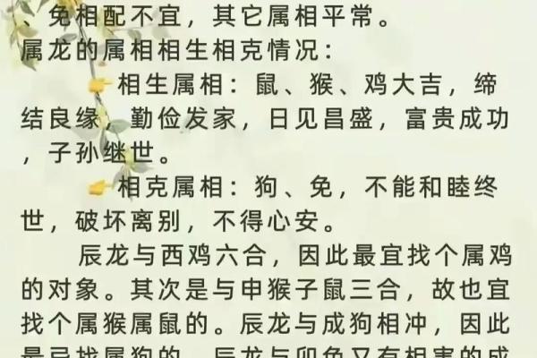 狗年运势大揭秘：如何用风水布局吸引命中注定的另一半