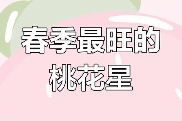 桃花运势揭秘：如何吸引你的命中贵人？