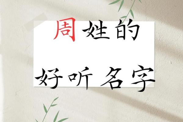 周姓男孩名字独特创意盘点