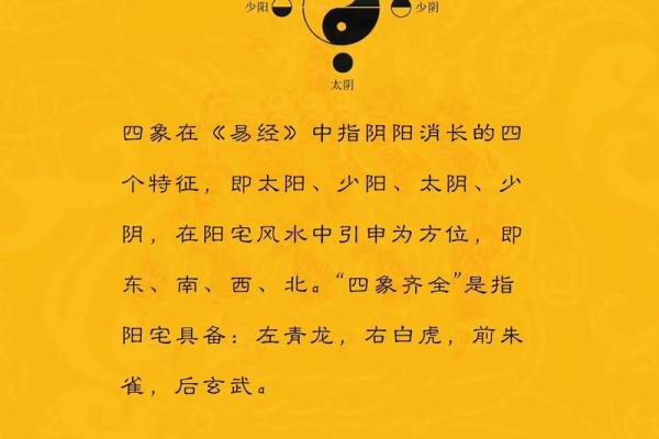学习风水学的基础与技巧：免费教学视频全攻略