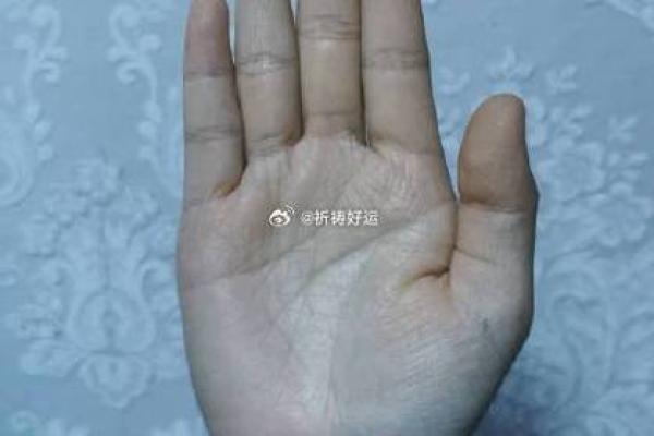 手掌里的时光印记，一秒揭秘你的年龄和命运！
