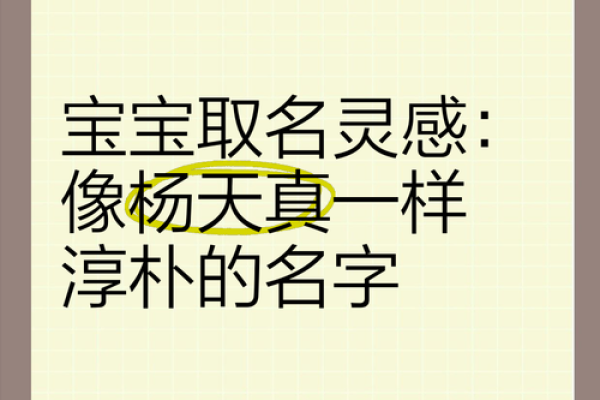 正宝宝名字灵感汇