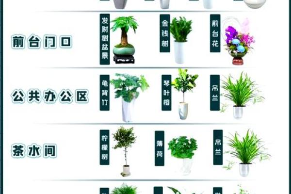 揭秘北京企业风水布局大师：如何助您企业财运亨通，事业腾飞