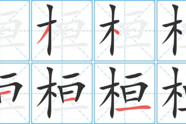 桓字的五行属性解析