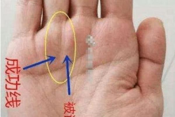 神秘手相揭秘：命运线背后的惊人秘密！