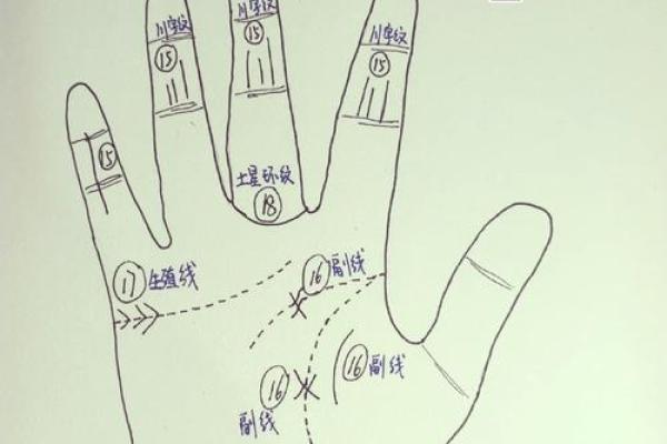 解锁手相奥秘：你的运势在这里！
