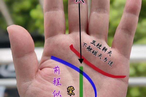 解锁手相奥秘：你的运势在这里！