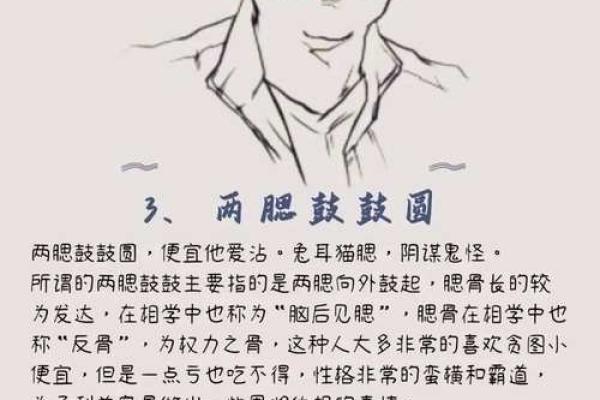 面相解码：腮帮邦大面相揭示性格命运之谜