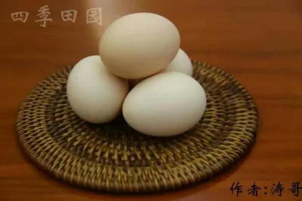 鸡年宝宝字含五谷好名推荐