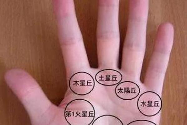 解锁手相升线秘密，财运亨通指南