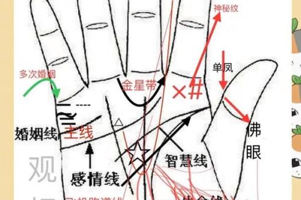 解锁手相升线秘密，财运亨通指南
