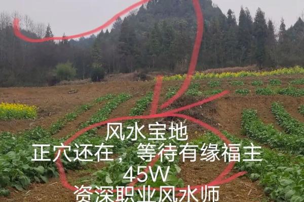 风水宝地助力，让爱情更美满