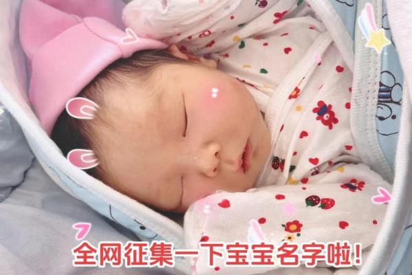 鸡年宝宝名字创意大比拼
