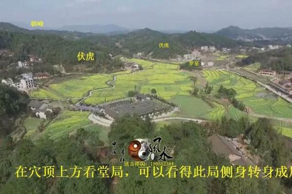 风水大师揭秘：如何打造爱情磁场？