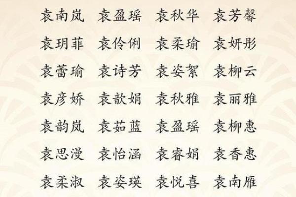 袁姓男孩起名推荐，如何选择既有寓意又有气质的名字