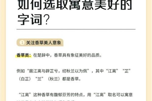 润心悦目：如何为宝宝挑选寓意美好的名字