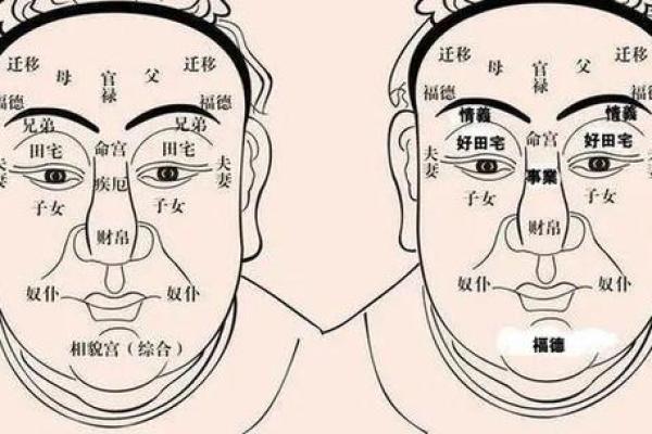 面相解码：解读命运之窗的神秘密码