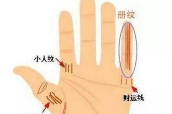 手相诉尽千般苦，命运轮回泪涟涟