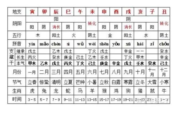 十二地支的象征意义与文化探秘