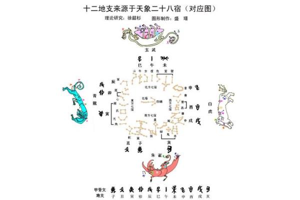 十二地支的象征意义与文化探秘