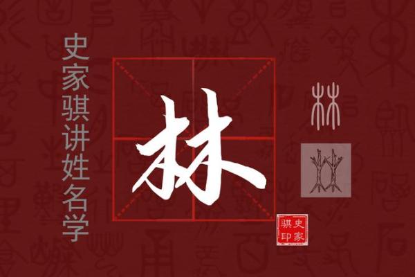 如何为林字搭配独特又有意义的名字