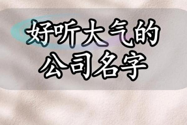 打造一个符合国际标准的大气公司名称