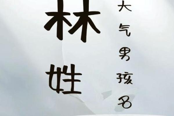 林家宝贝取名灵感