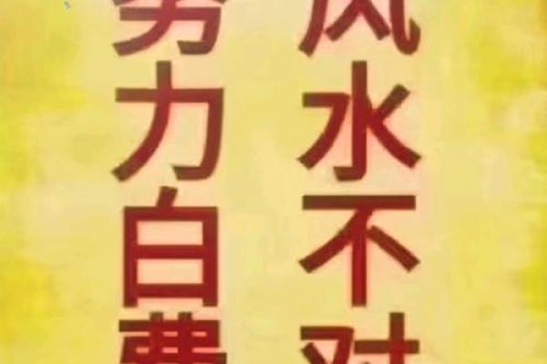 探寻海南凤凰岛的风水奥秘与能量场分析