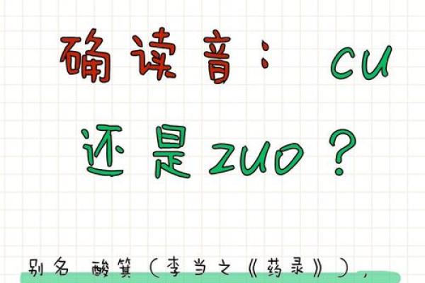名字与命运：刘健名字背后的神秘力釿