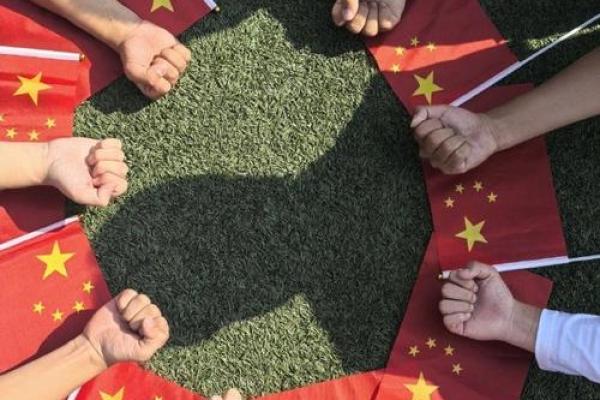 风华正茂时：男生节里的传统与现代交融庆典