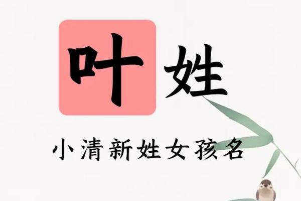 冷姓女孩起名推荐，独特而有寓意的选择