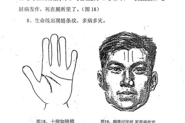 电子手相面相宝典：解锁人生运势，轻松上手！