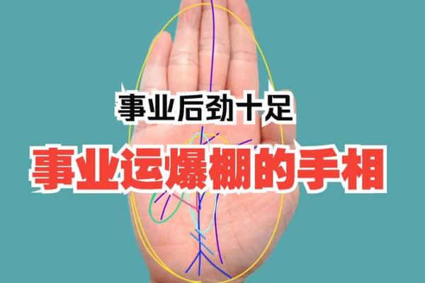 电子手相面相宝典：解锁人生运势，轻松上手！