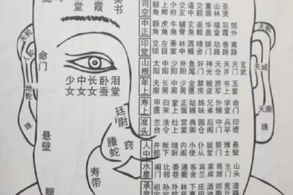 面相揭秘：一眼看穿命运，揭秘你的运势密码！