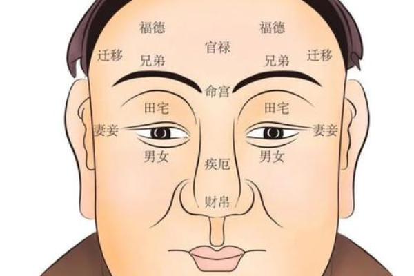 面相揭秘：一眼看穿命运，揭秘你的运势密码！